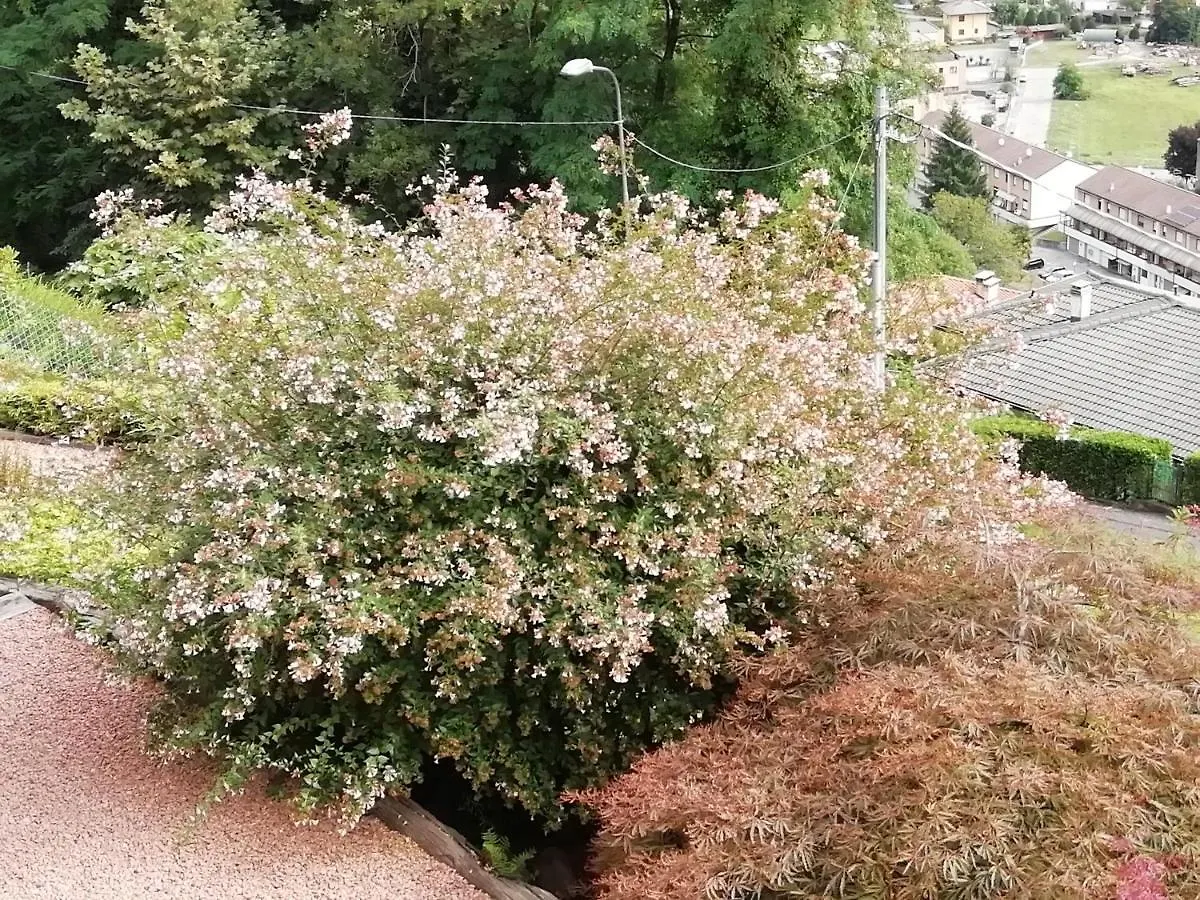 Villa Banfi Lavena Ponte Tresa Italië